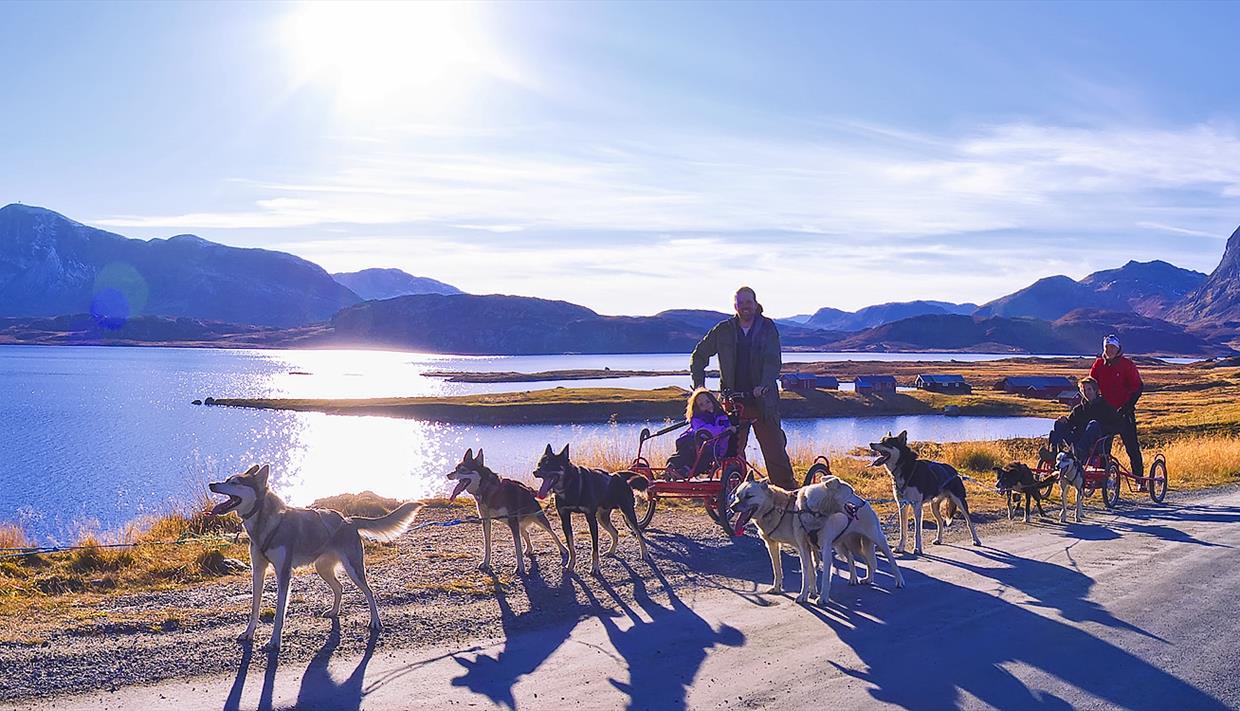 Hundekjøring langs Jotunheimvegen en flott høstdag