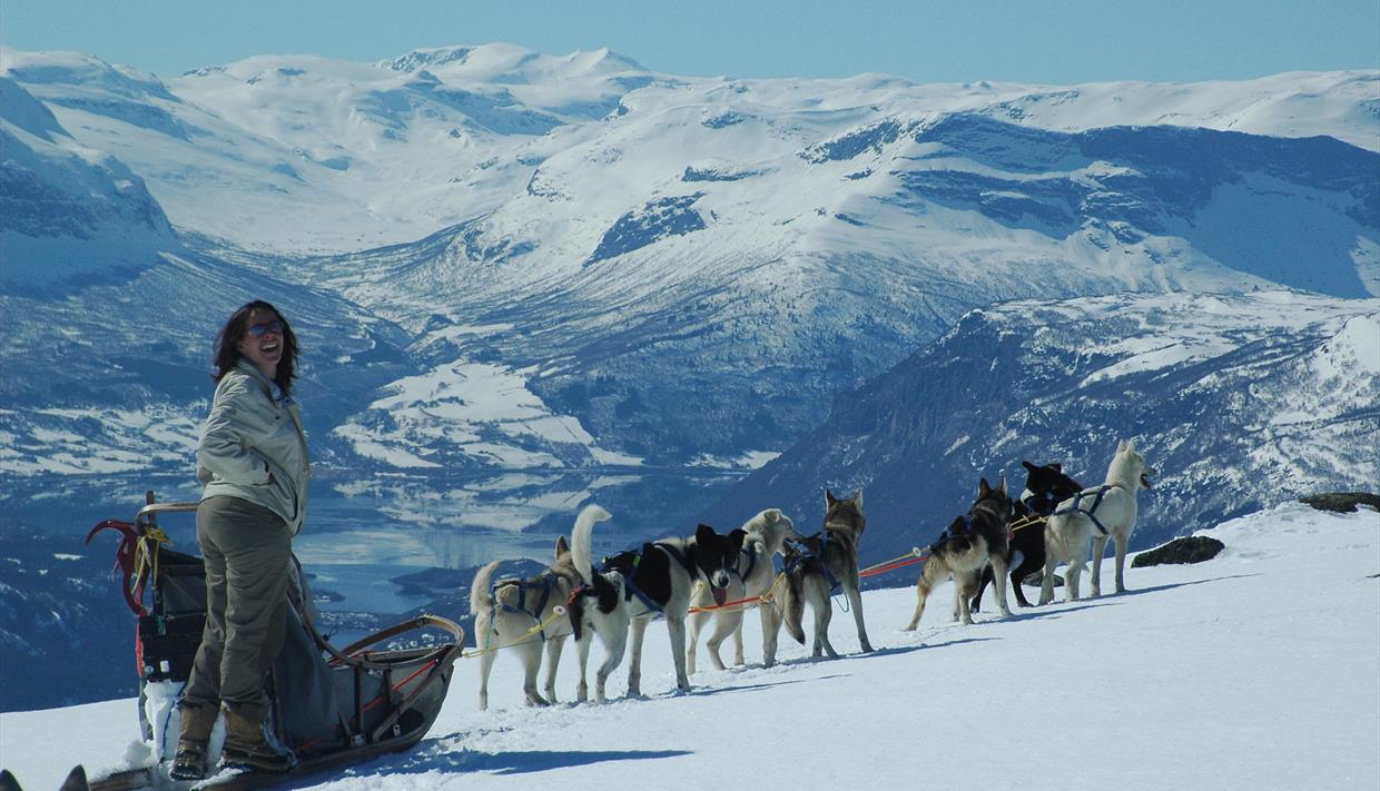 Hundekjøring i spektakulært fjellandskap.