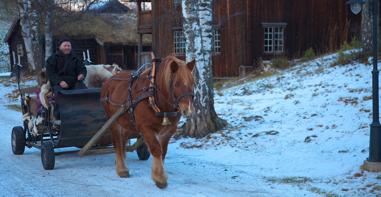 At Valdres Folkemuseum during Skarke.