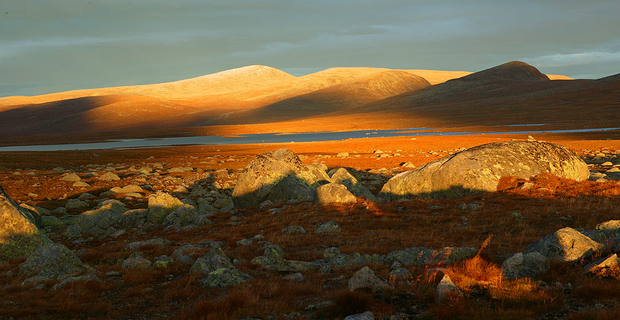 Autumn impressions at Valdresflye.