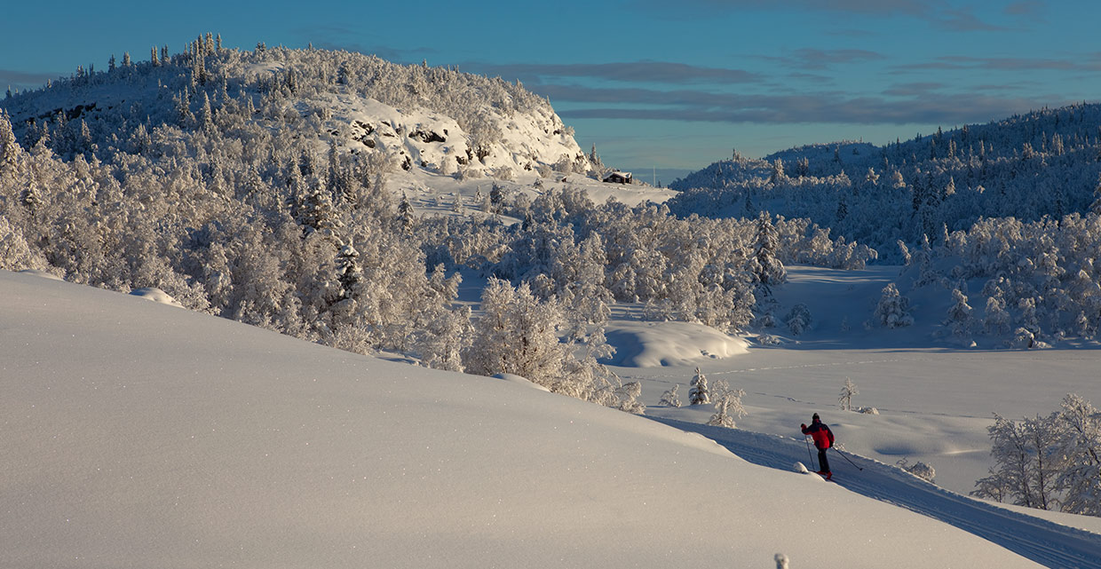 Crosscountry skiing in Tisleidalen close to Hærevatnet lake.