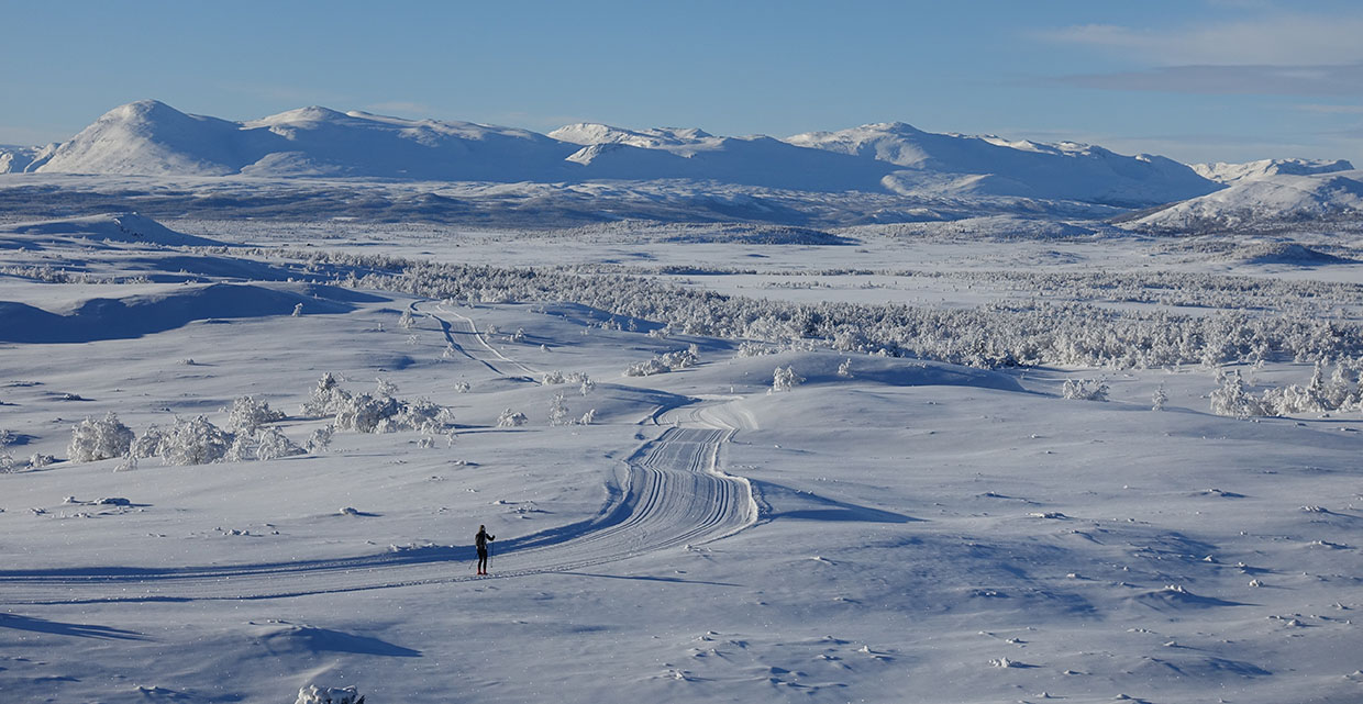 View from Synet at Vaset towards Skogshorn and Nibbi.