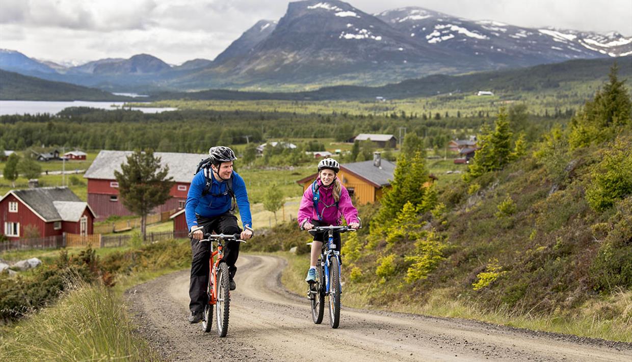 Syklister langs Mjølkevegen. Fjell og stølslandskap preger ruta.