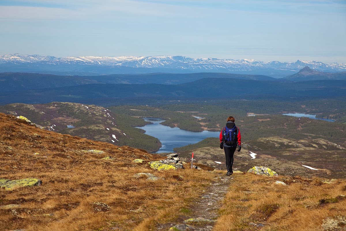 På vei fra Spåtinden ned mot Feplassen. I bakgrunnen ses Hafsenn samt snødekte fjell i Hemsedal/Vestre Slidre/Vang.