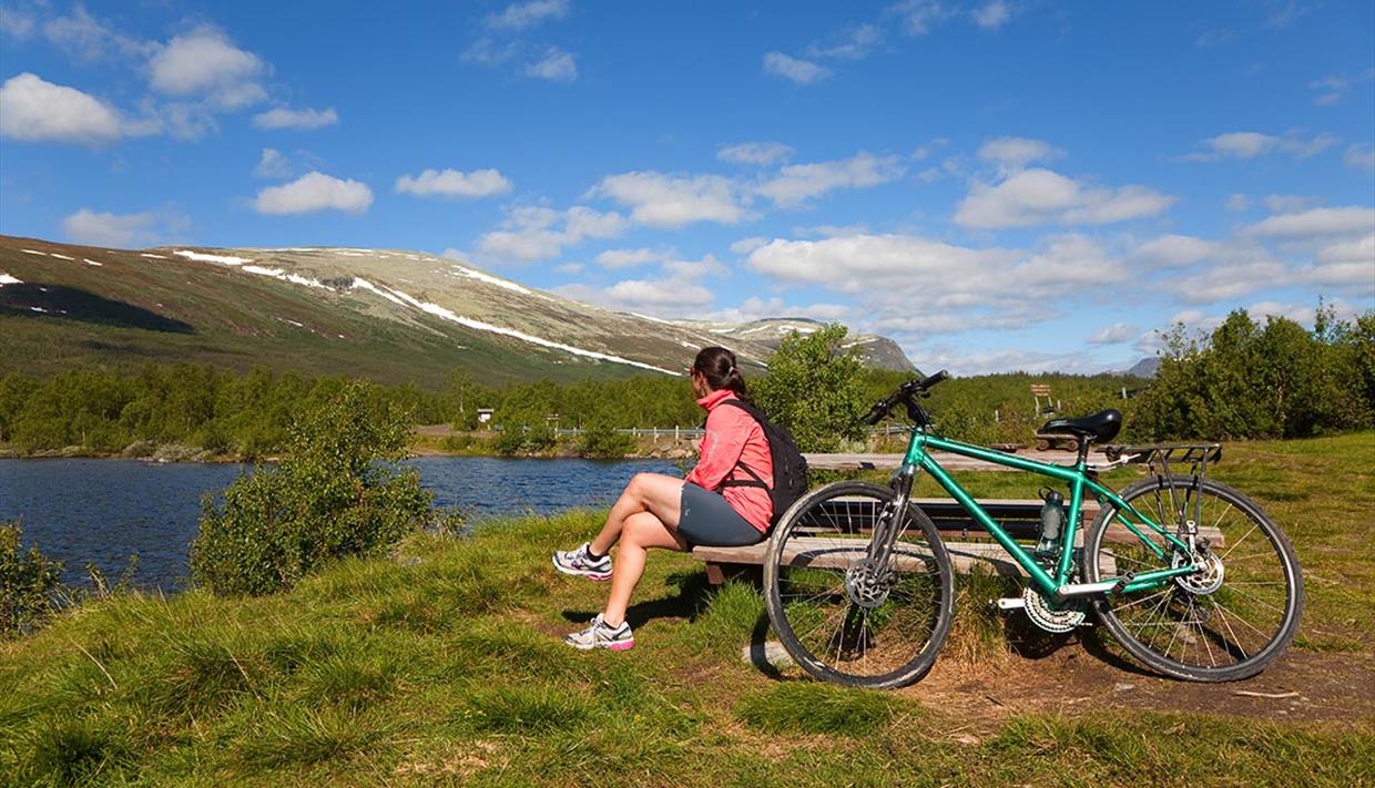 Idyllisk rasteplass langs store Syndinrunden.