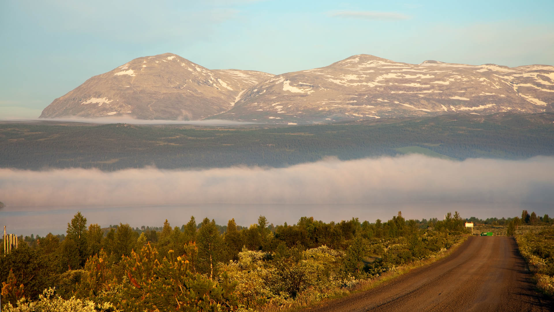 In the first morning sunlight on a high plateau with bushy vegetation, while the morning mist still lingers in a valley and a mountain chain rises in the background.