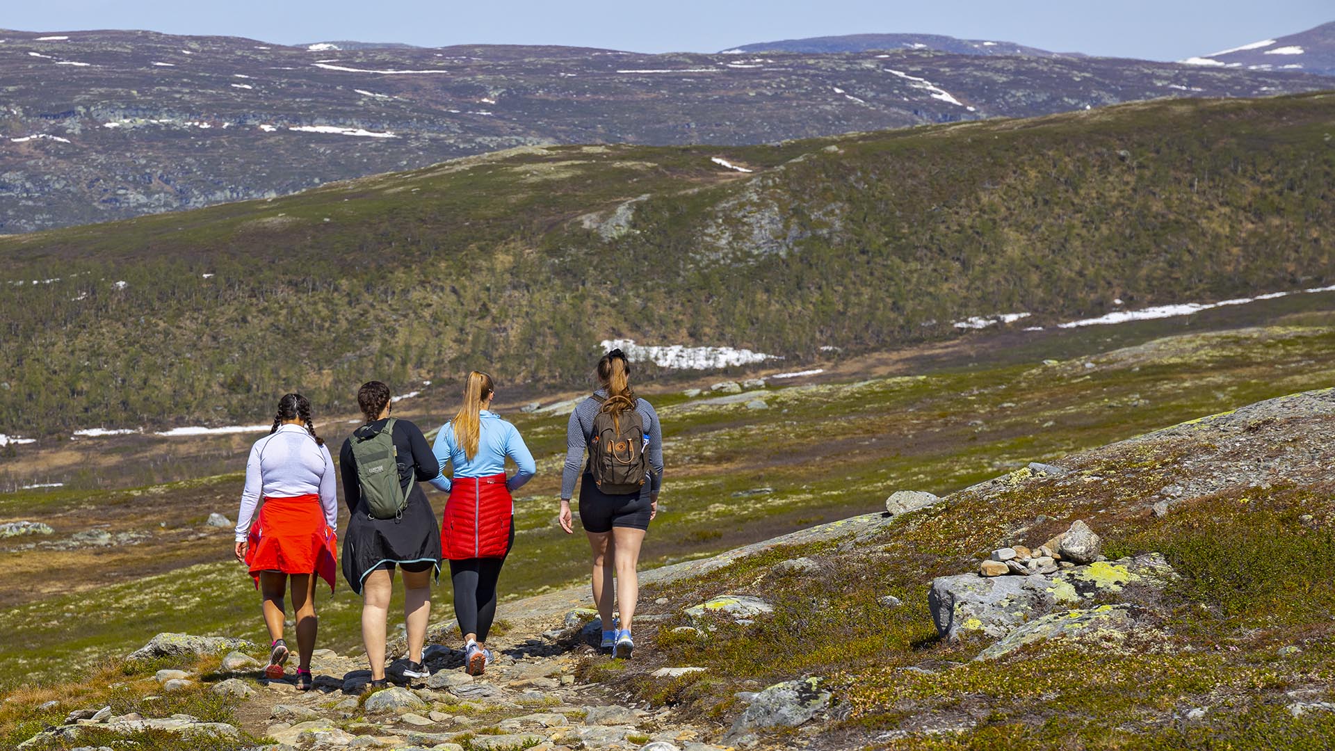 Four young girls hike on a broad trail in open mountain terrain on a warm summer day.