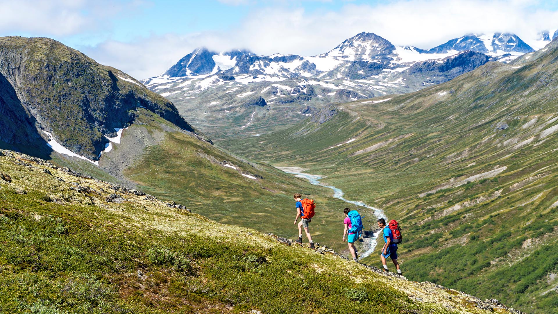 Three hikers on a green hillside in front of a valley with a glacier river and high mountains.