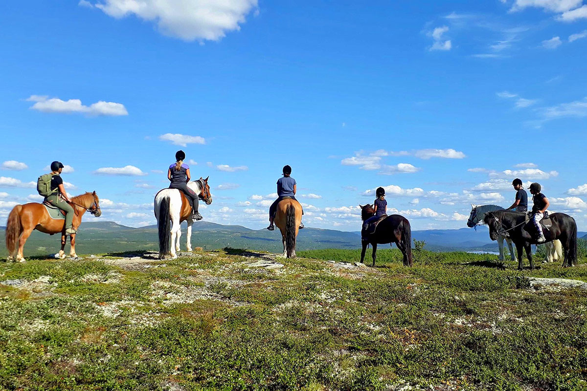 Utsikt over fjellene fra hesteryggen.